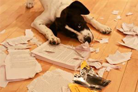 Picture of Atascocita Center - Lost / Damaged Books & Library Fines